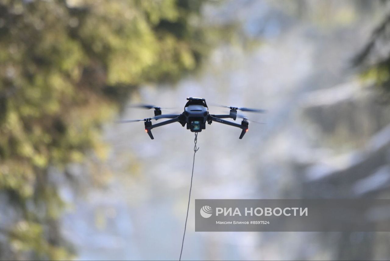 Изображение публикации d94c9049-73c7-4ac0-a828-b378a92f3c1a