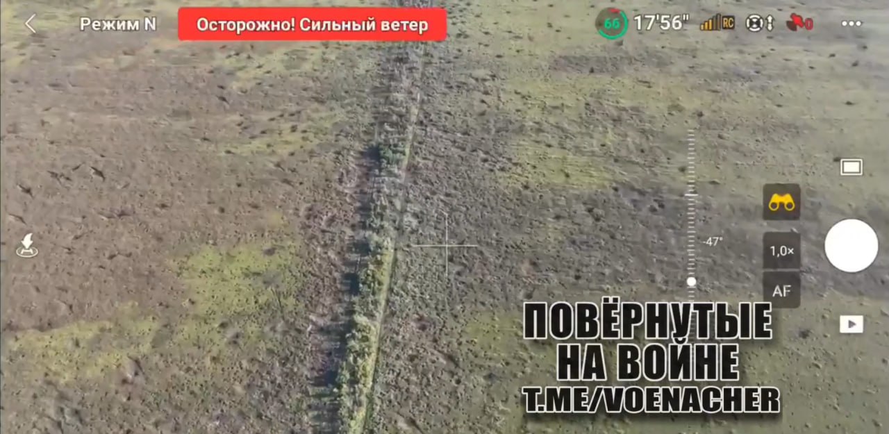 Изображение публикации d9663c4c-29cb-441f-b1b1-9ea35a77c280