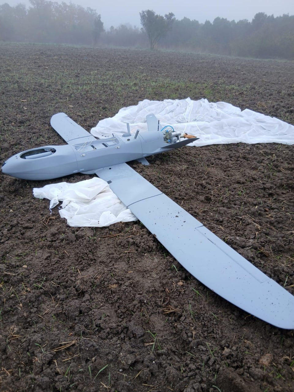 Изображение публикации dcd67e2d-8c1d-469a-8a69-7d5bfac92914