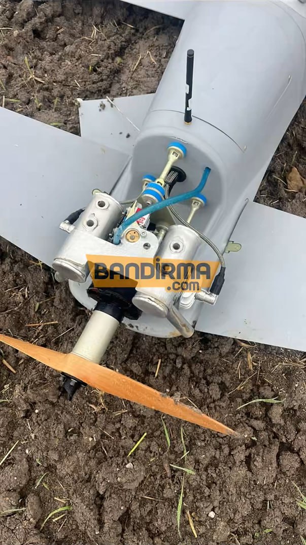 Изображение публикации dcd67e2d-8c1d-469a-8a69-7d5bfac92914