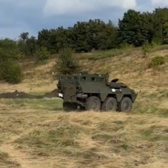 Изображение публикации dd5444b5-a1cd-49bd-81ef-71febe49dedd