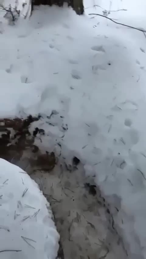 Превью видео