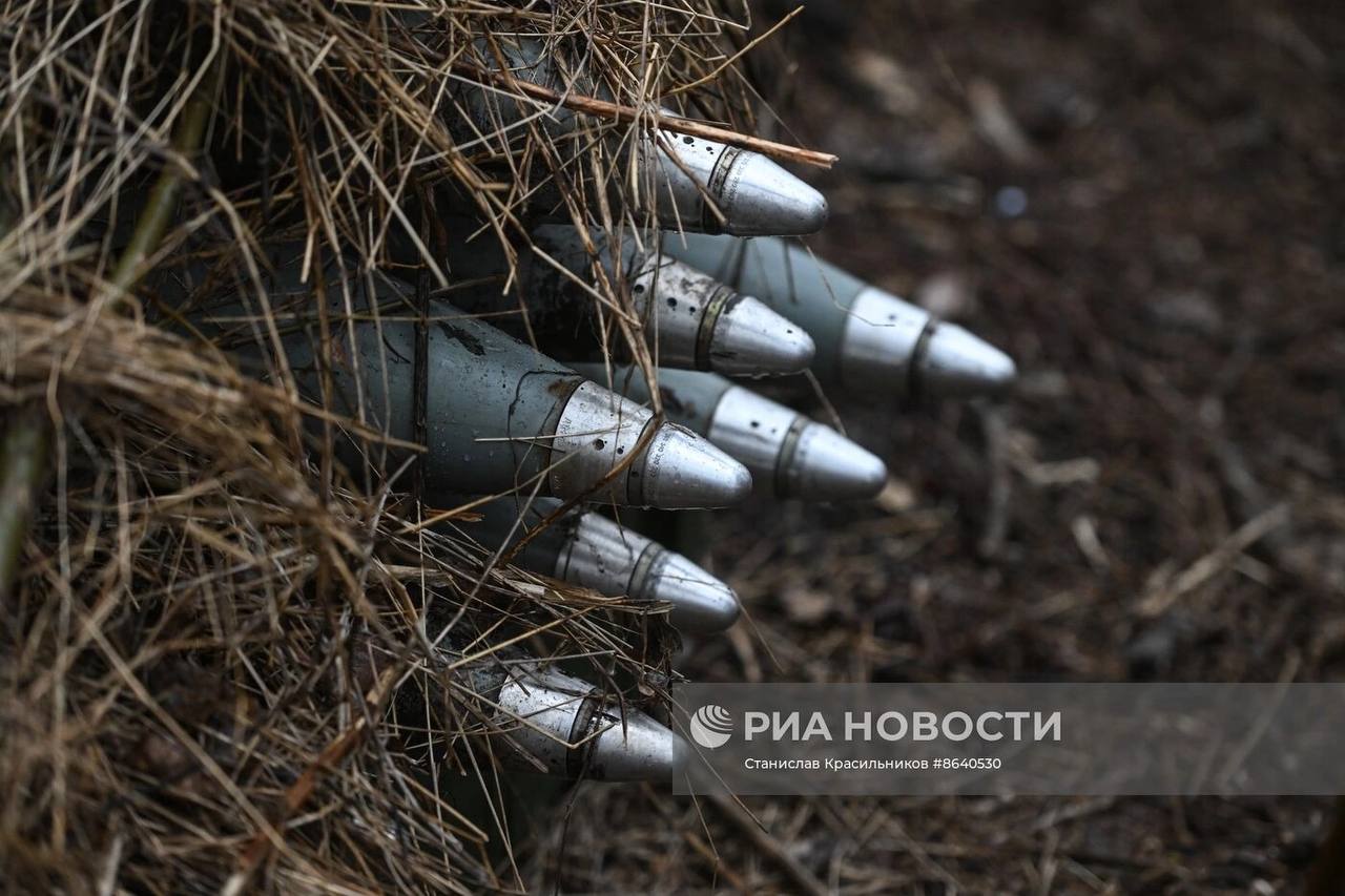 Изображение публикации dda51631-37f6-407d-83cd-44ac9c4ca6f0