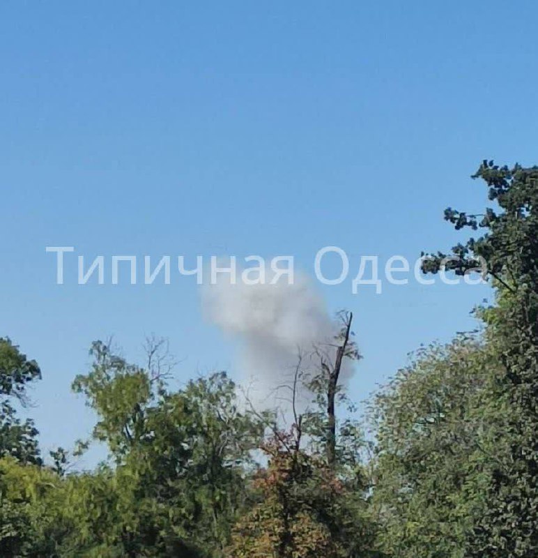 Изображение публикации dda780e7-a35e-4d47-a2f0-20d902cd0bbf