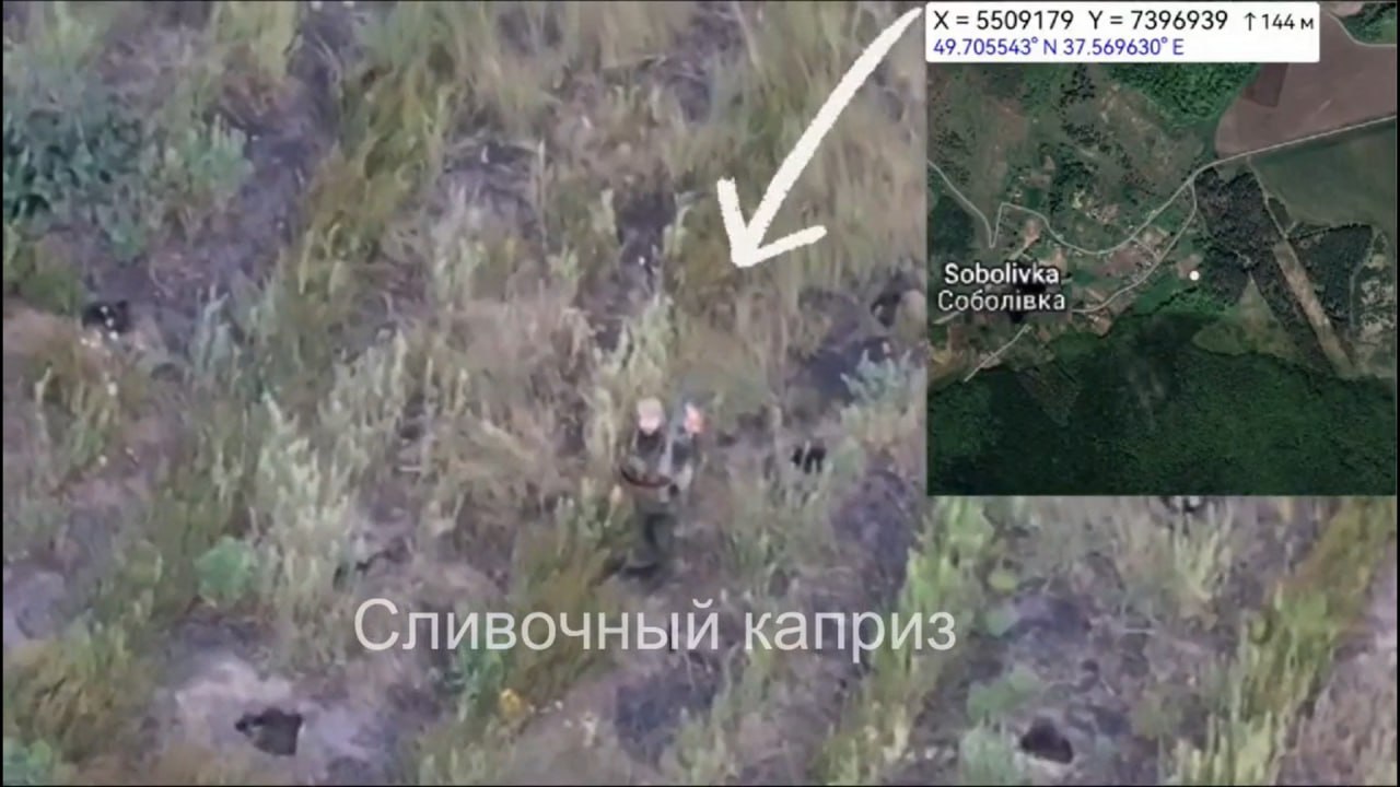Изображение публикации e08c1166-59d2-44bd-8dd7-6fa3cc3a96c7