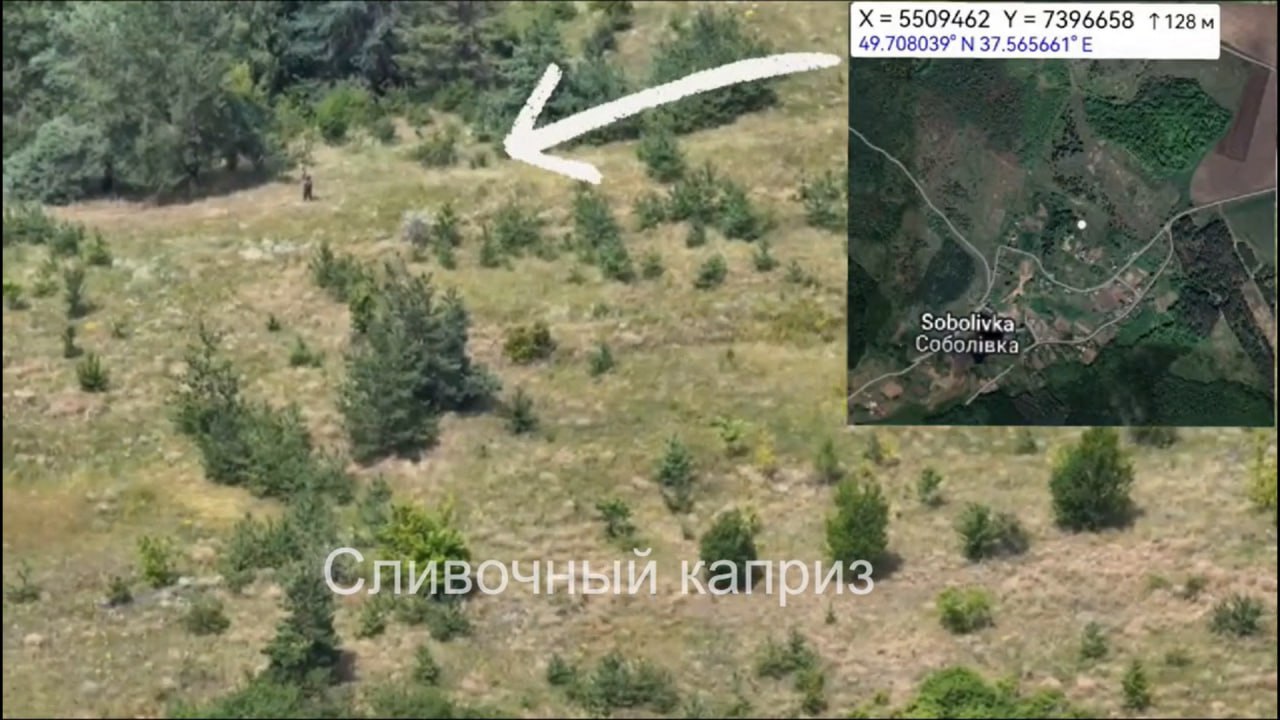 Изображение публикации e08c1166-59d2-44bd-8dd7-6fa3cc3a96c7