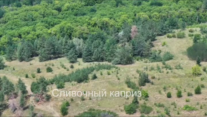Превью видео