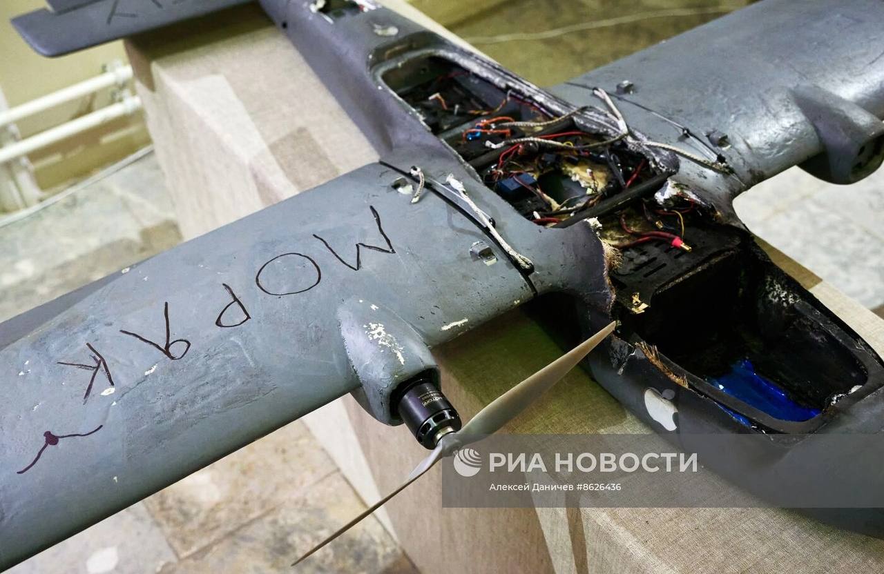 Изображение публикации e08e9df6-d428-48e8-a704-4737c99db769