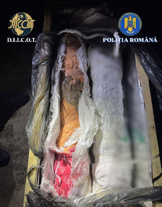 Изображение публикации e44a7902-5f74-44ed-a5bd-092724264631