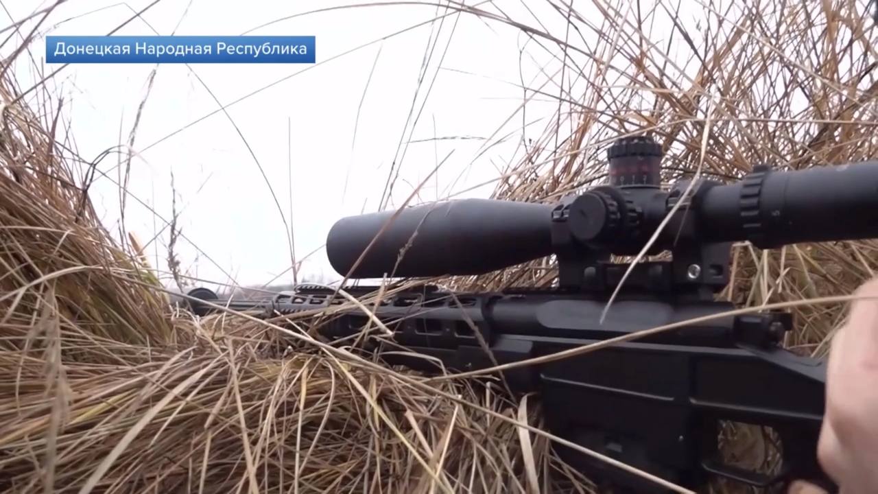 Изображение публикации e5420979-035d-491a-990c-cf0f3509f2f1