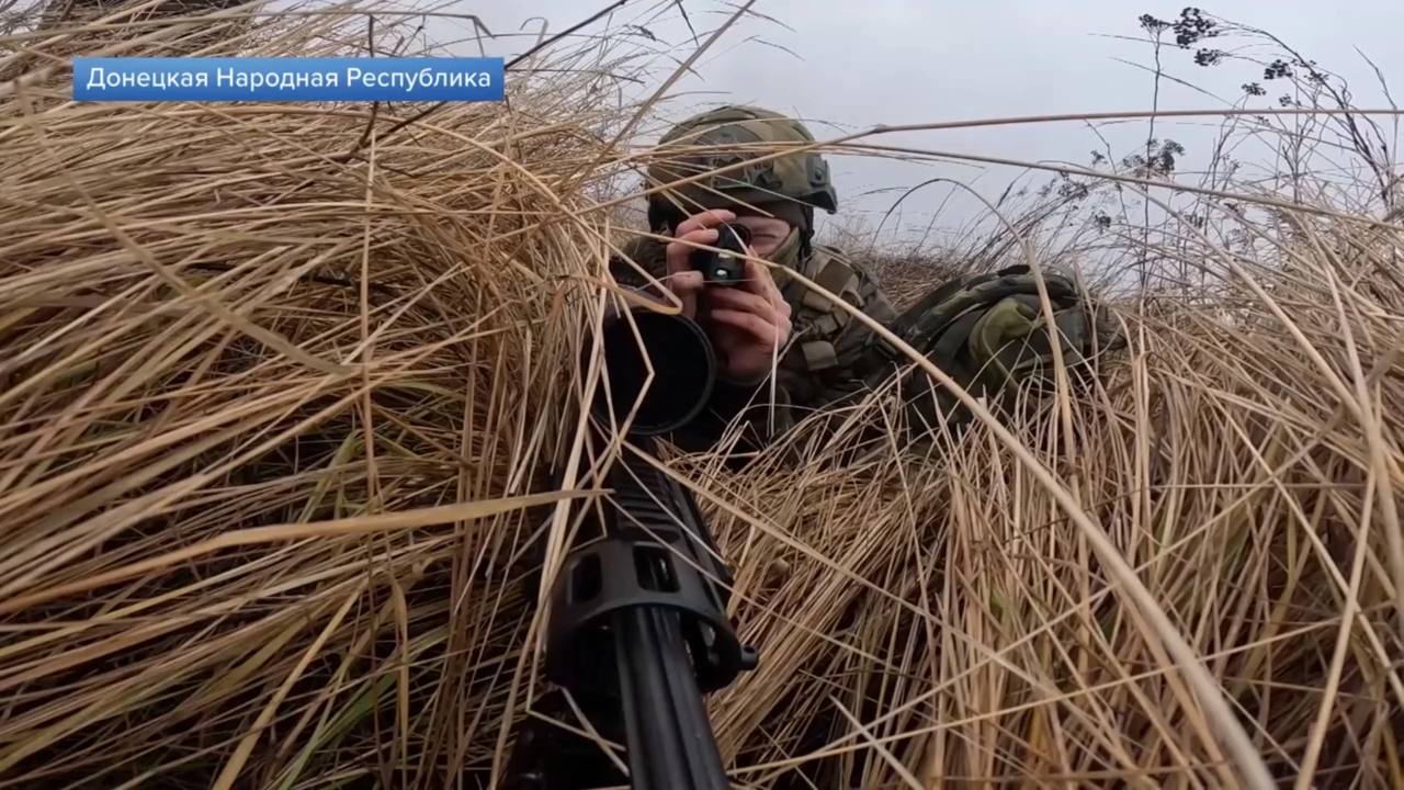 Изображение публикации e5420979-035d-491a-990c-cf0f3509f2f1