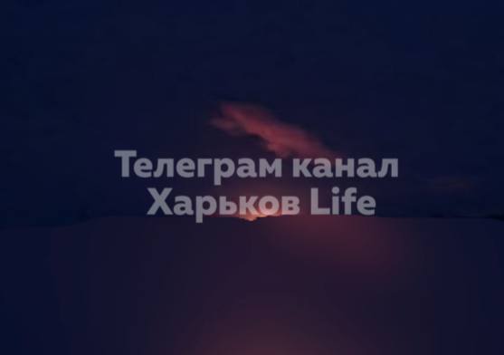 Изображение публикации e57fdf39-7606-41ff-a870-19de925e09c1