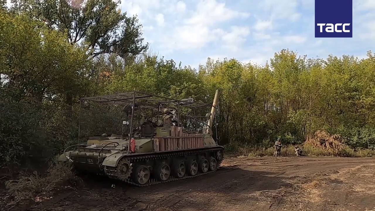Изображение публикации e5ca236d-b7a3-4605-be19-18f932502a6a