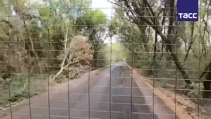 Превью видео