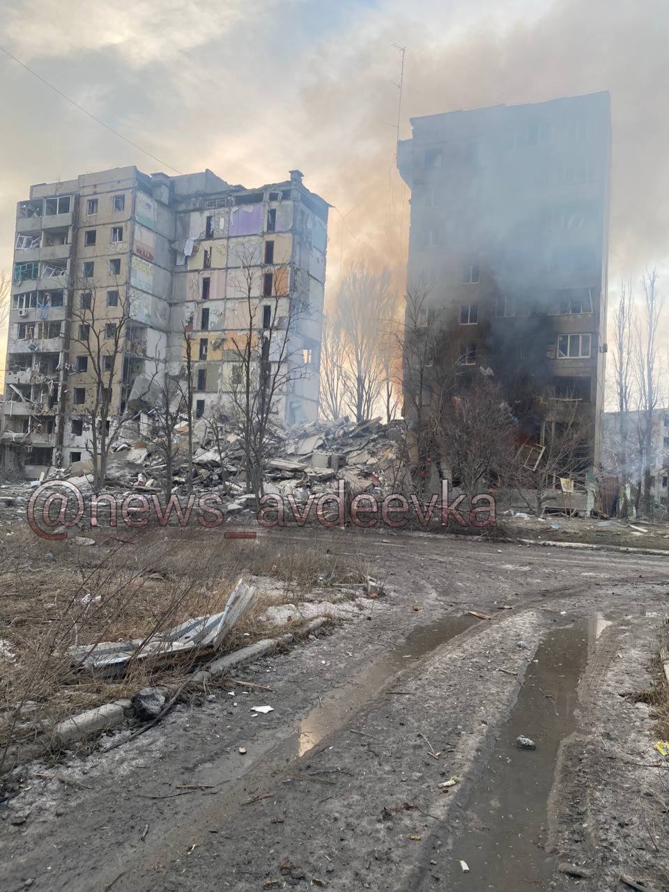 Изображение публикации e5e0115b-0c08-483d-b0a2-16658a1f4195