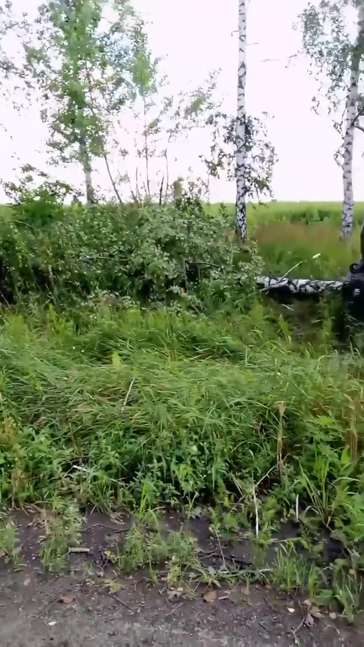 Превью видео
