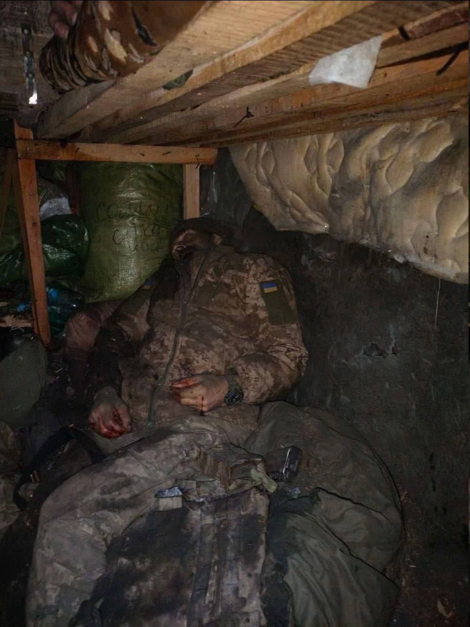 Изображение публикации e6e27154-f5ff-47d7-9669-eaea78437bf4