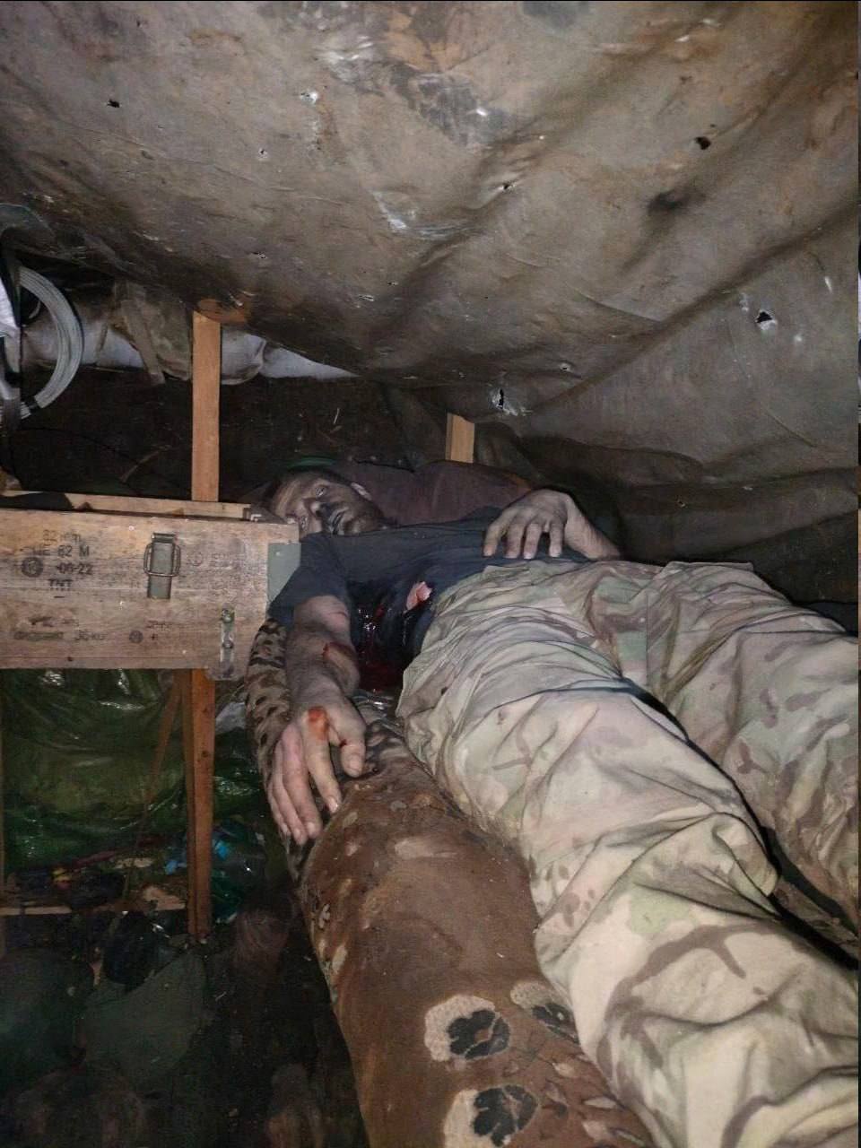 Изображение публикации e6e27154-f5ff-47d7-9669-eaea78437bf4
