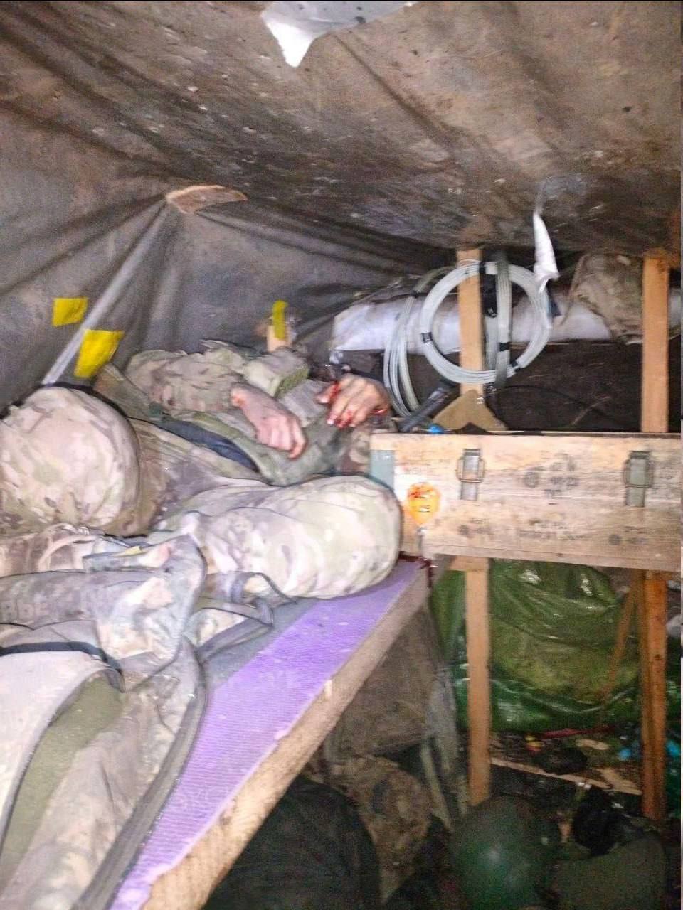 Изображение публикации e6e27154-f5ff-47d7-9669-eaea78437bf4