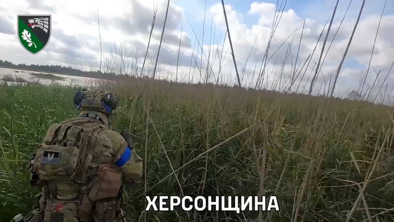 Изображение публикации e7001c9c-5504-4d4e-9ba3-01bcddd05418