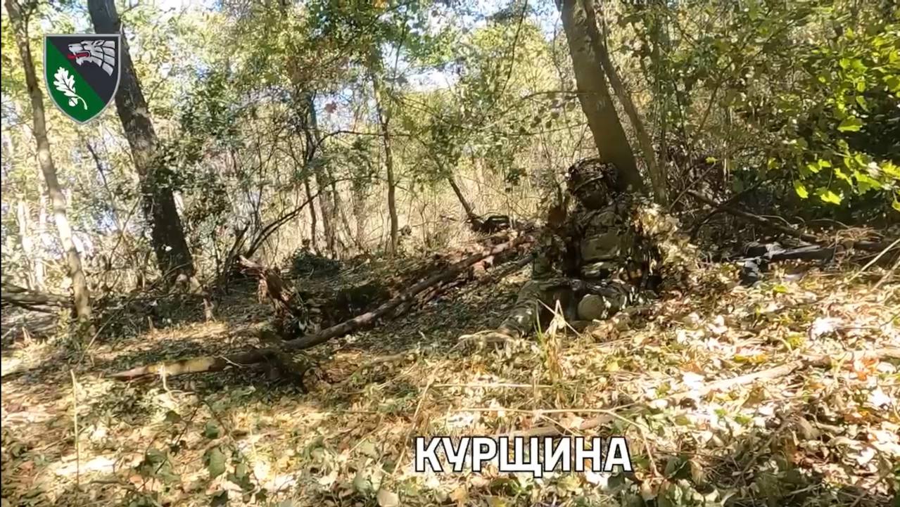 Изображение публикации e7001c9c-5504-4d4e-9ba3-01bcddd05418
