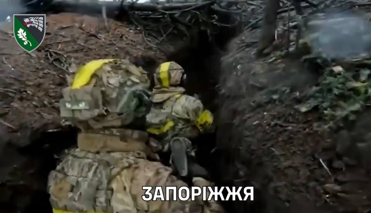 Изображение публикации e7001c9c-5504-4d4e-9ba3-01bcddd05418