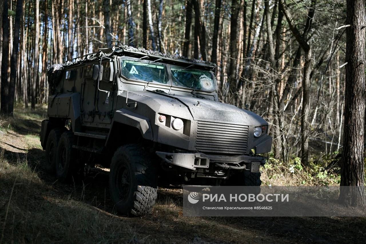 Изображение публикации e70439e7-fb19-4aaf-8e6d-944288250537
