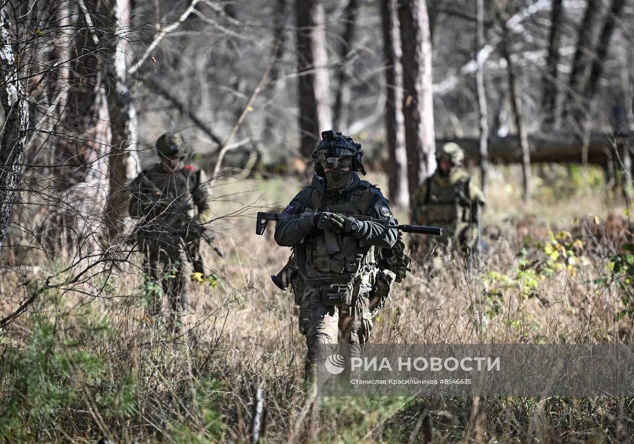 Изображение публикации e70439e7-fb19-4aaf-8e6d-944288250537