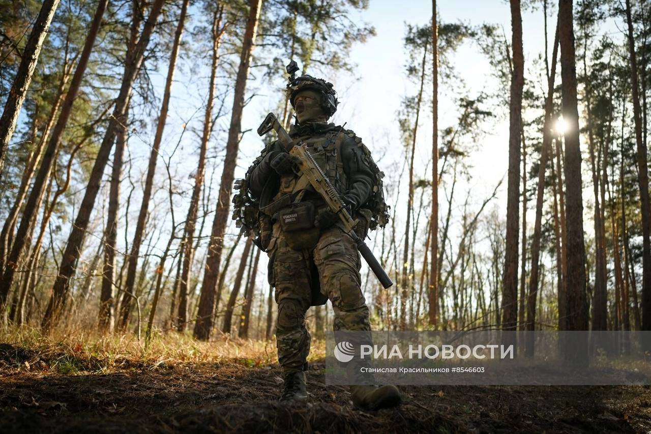 Изображение публикации e70439e7-fb19-4aaf-8e6d-944288250537