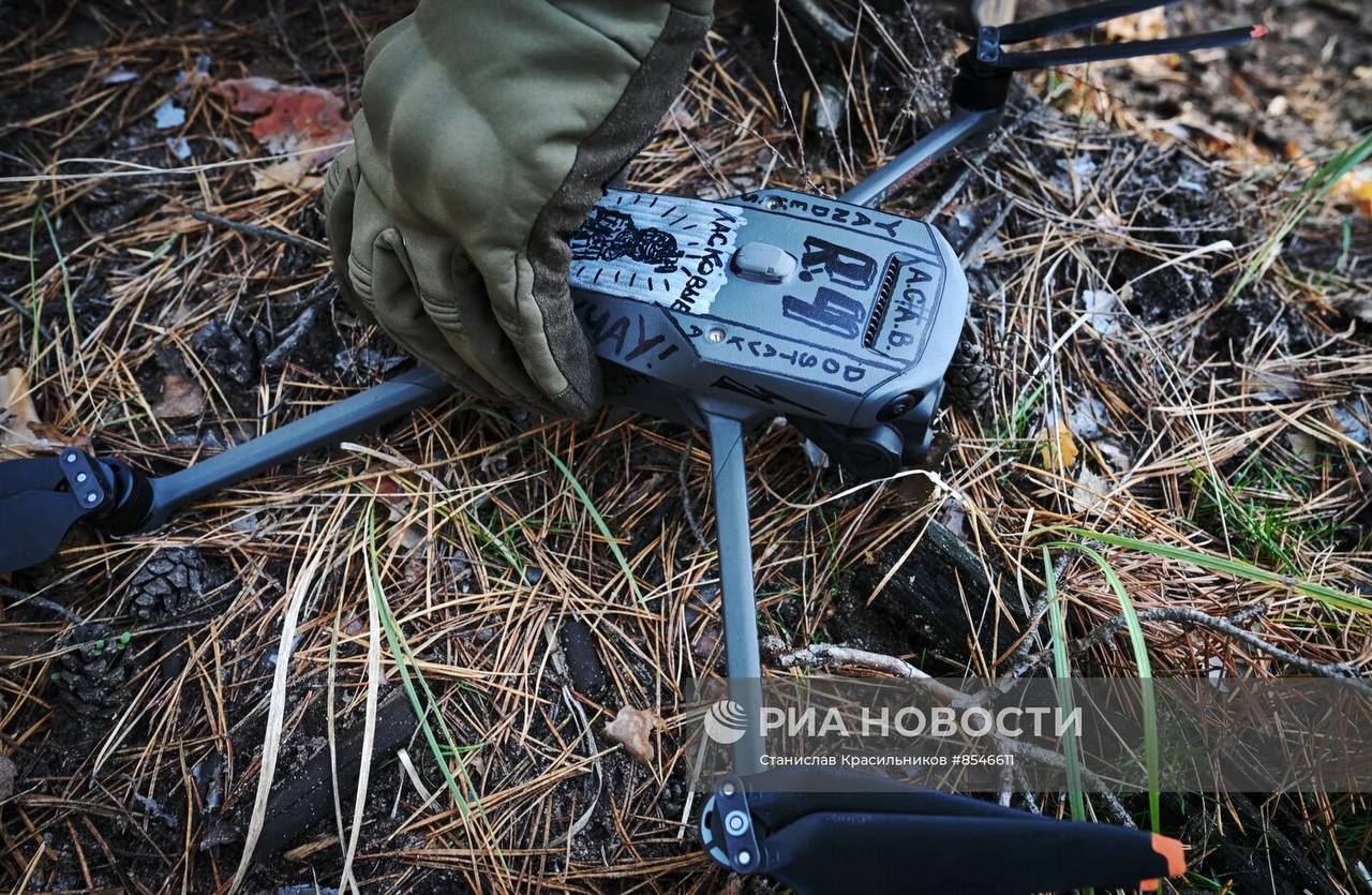 Изображение публикации e70439e7-fb19-4aaf-8e6d-944288250537