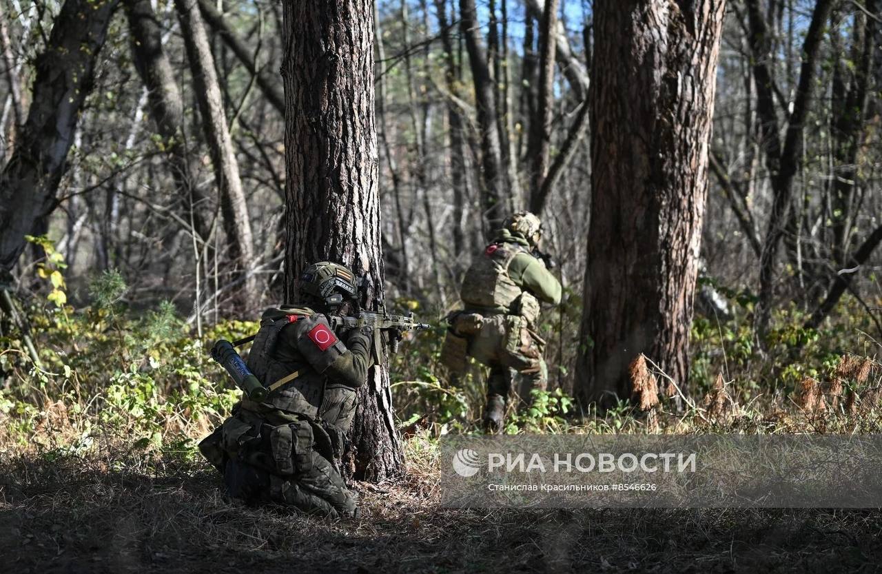 Изображение публикации e70439e7-fb19-4aaf-8e6d-944288250537
