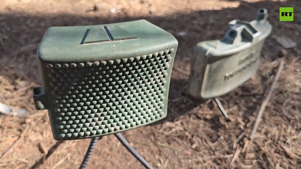 Изображение публикации e713fa62-9e33-48a4-911c-f26bdf3d8a5b