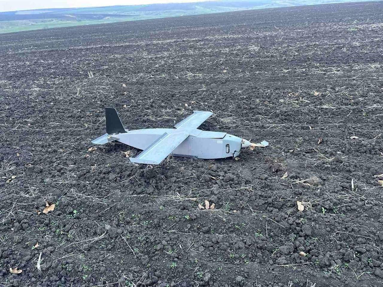 Изображение публикации e775b776-060b-4504-9264-5797687a9806
