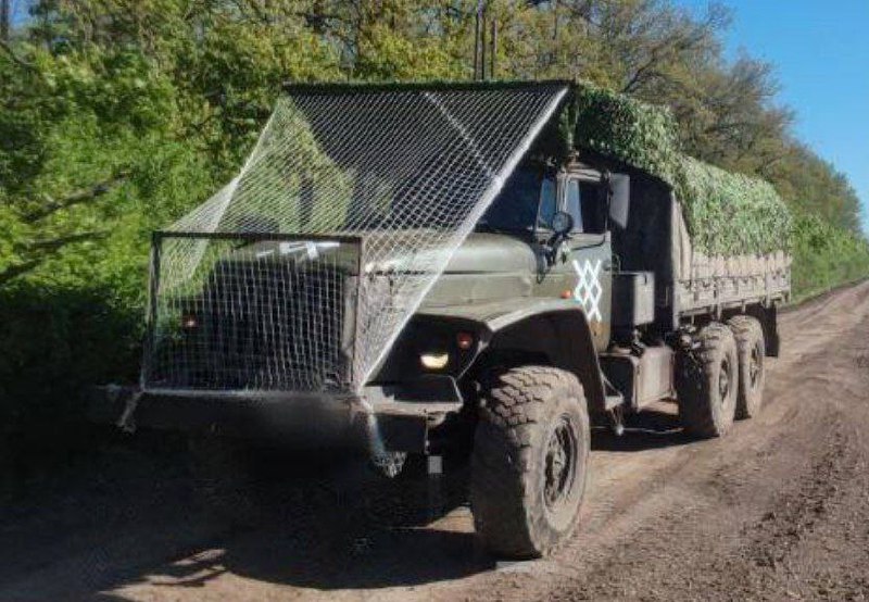 Изображение публикации e8440cc4-2378-4f53-a1b3-907dd63353ee