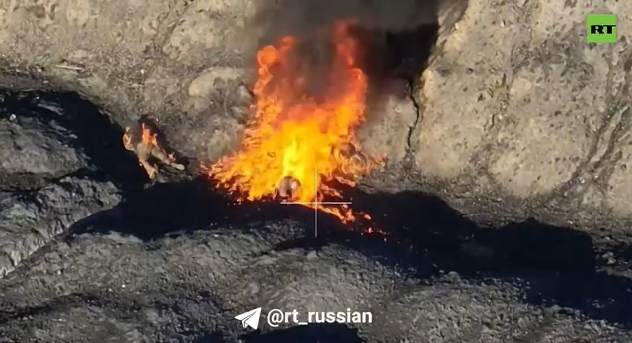 Изображение публикации e8f8a850-eb8c-4064-bbb9-ea69a755f134