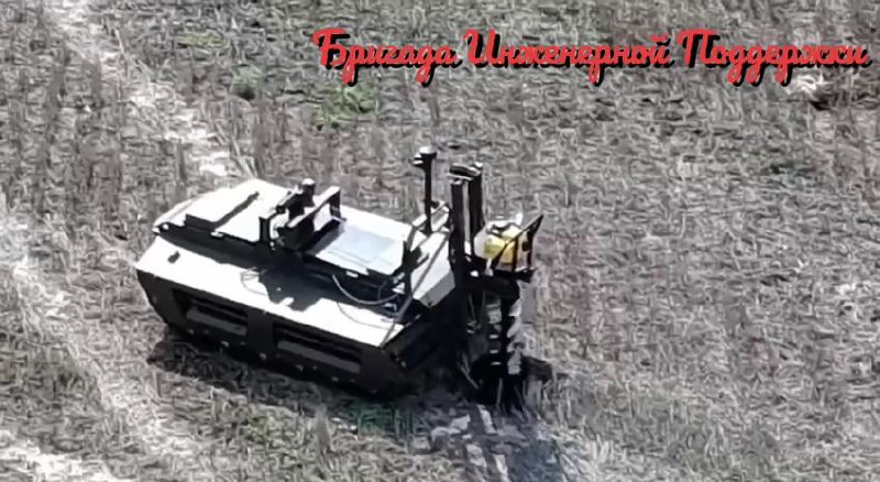 Изображение публикации e9992a55-b61d-4a55-b64d-2b9899fdbfaf