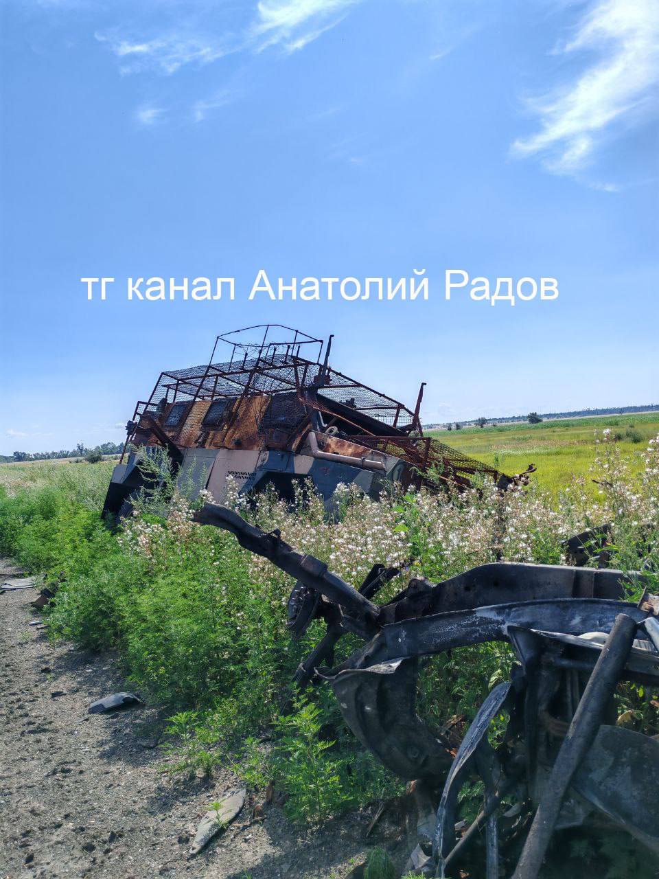 Изображение публикации ea0303fb-889c-4856-8249-bff2ad43f38b