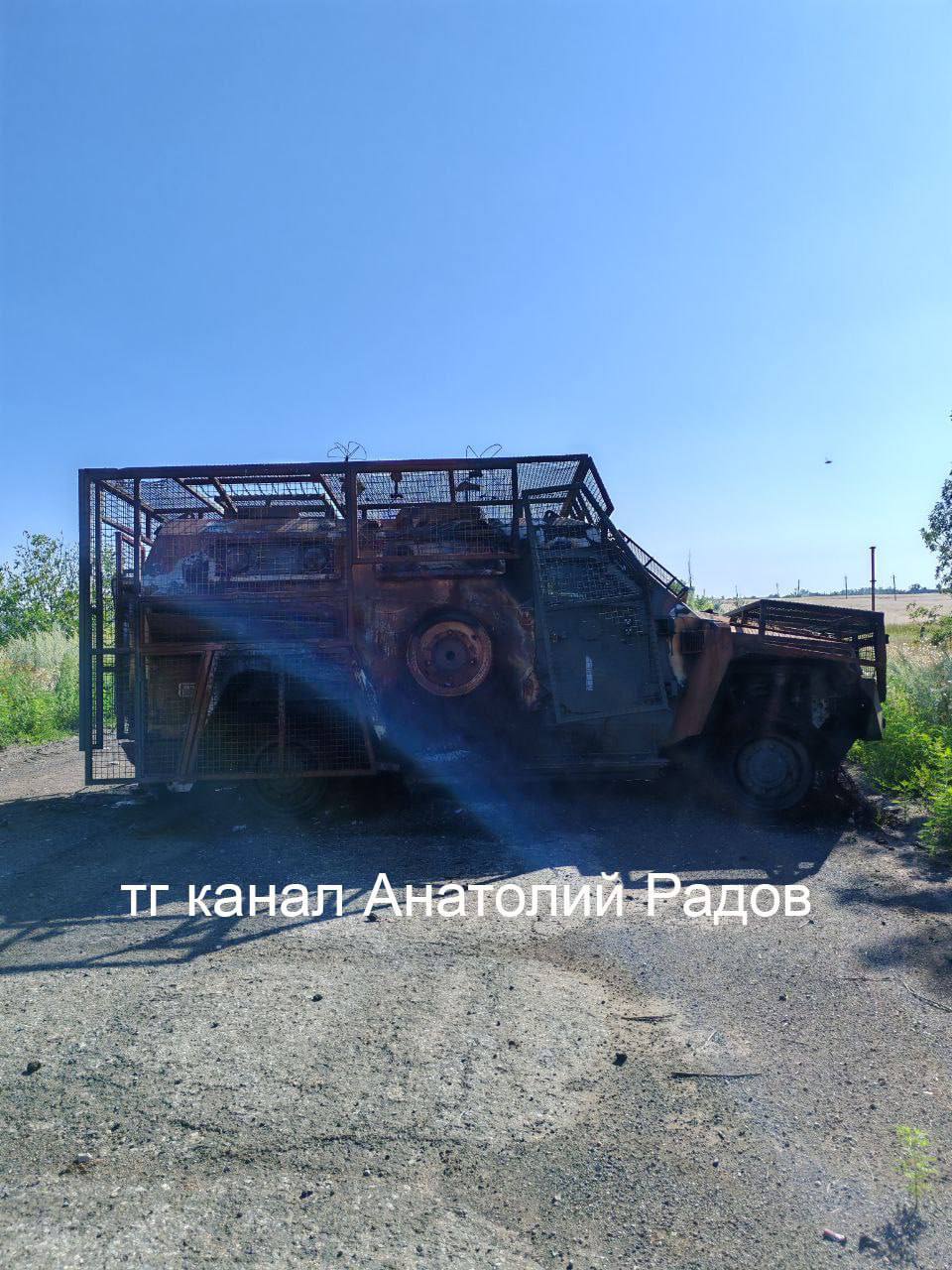 Изображение публикации ea0303fb-889c-4856-8249-bff2ad43f38b