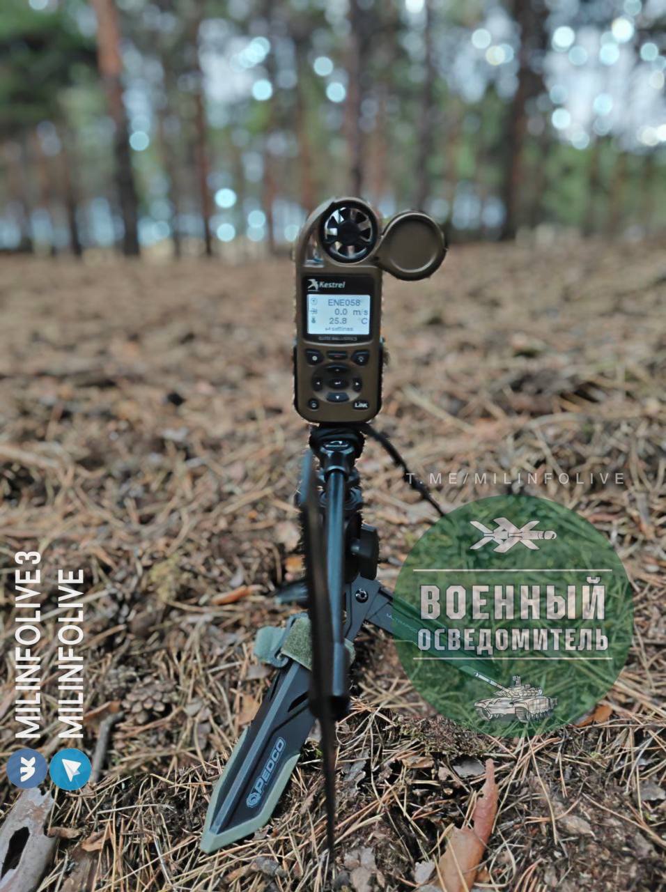 Изображение публикации eb7e0624-b443-4ae4-a50f-bf50828c8080