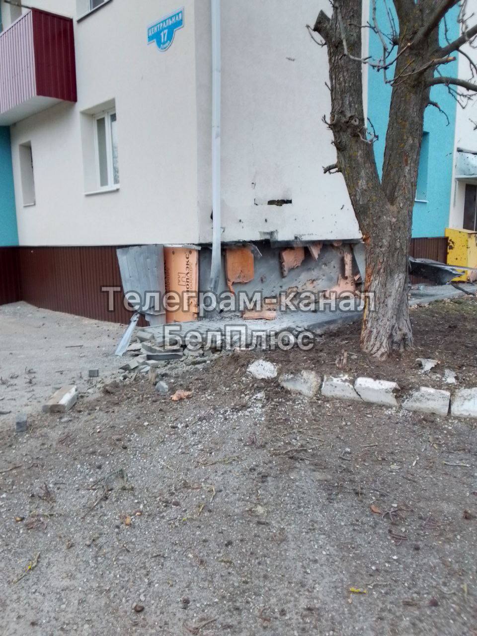 Изображение публикации ed25437e-7a5a-4cbd-ba06-0a6eaf5a7ba2