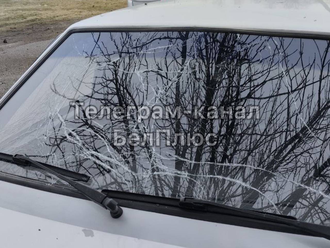 Изображение публикации ed25437e-7a5a-4cbd-ba06-0a6eaf5a7ba2