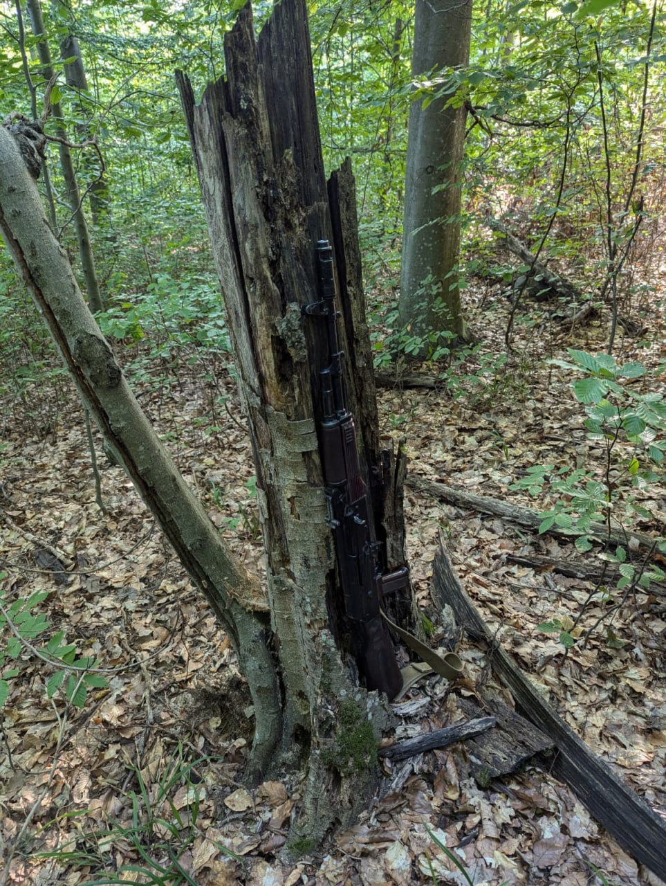Изображение публикации edbaa69e-652e-4a32-8af4-d64b7780ecc0