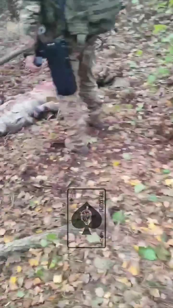 Превью видео