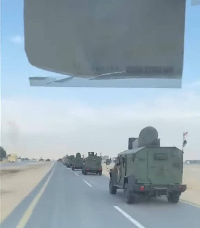 Изображение публикации ee85b3b1-ab73-49f8-8a1f-e5d8c569bfaa