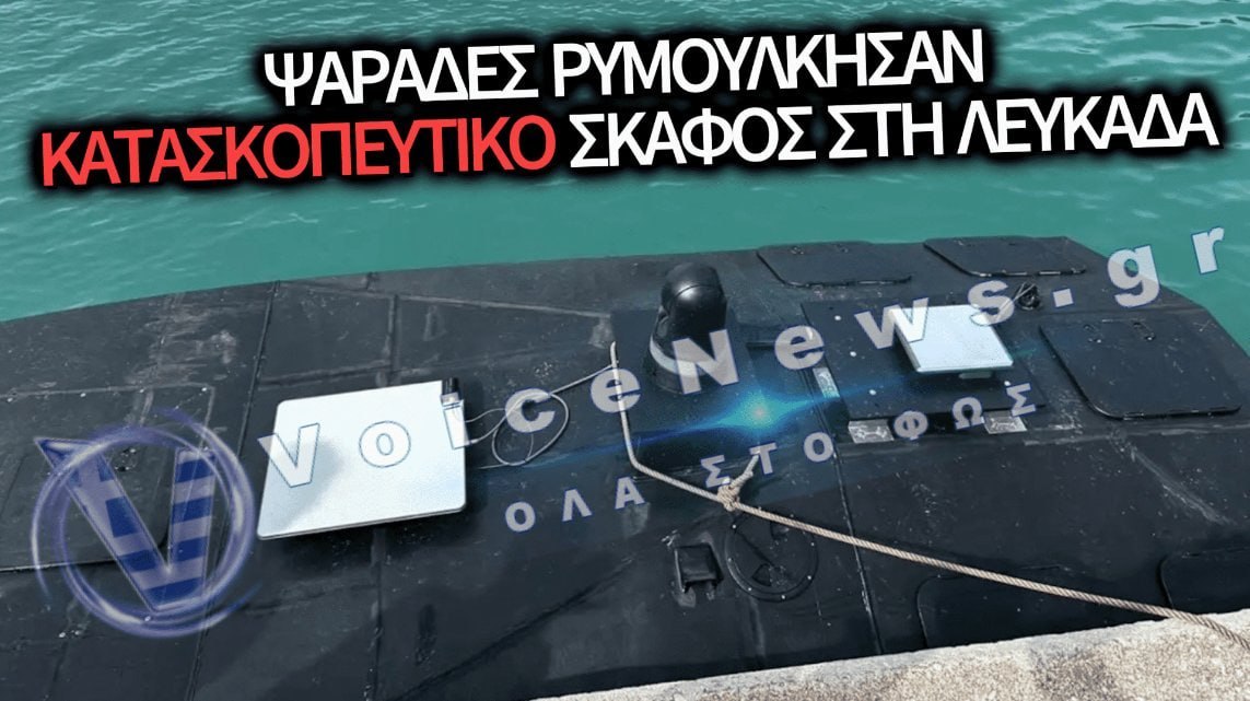 Изображение публикации ee96cd83-499b-4873-9080-ab86188bdd54