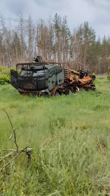 Изображение публикации ef610134-69cd-4573-a550-53f022d1bae7