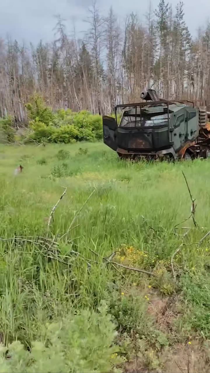 Превью видео
