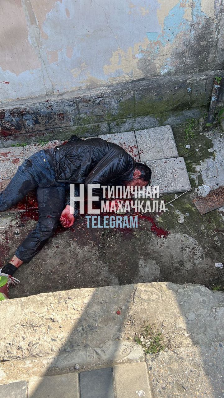 Изображение публикации efa88ad6-6a56-4383-a69e-9f02d8bc5fa1