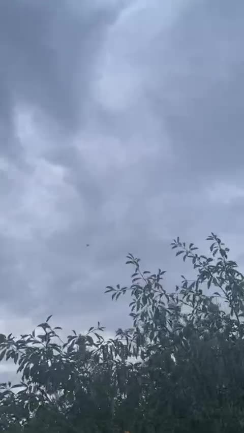 Превью видео