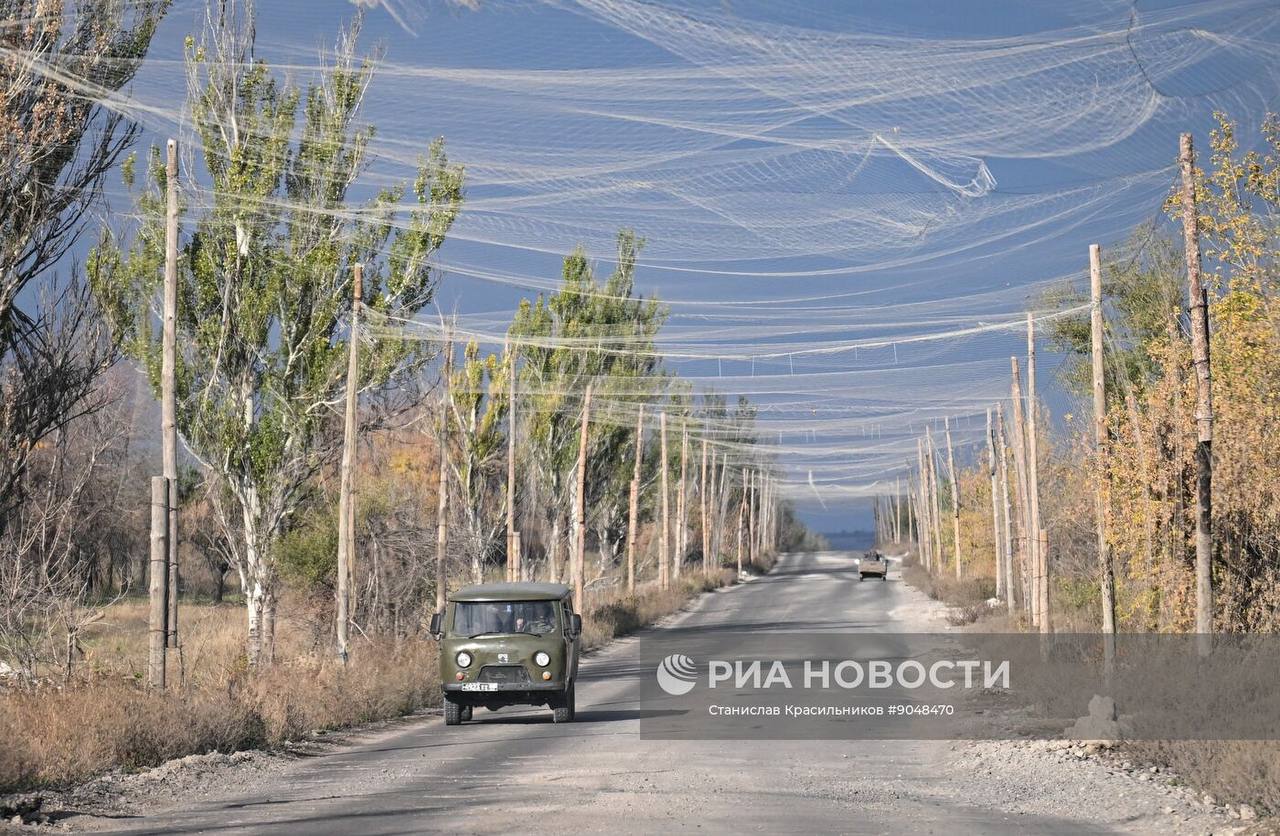 Изображение публикации f10a414c-b04a-4f4c-8651-8bcd19dd2eb3
